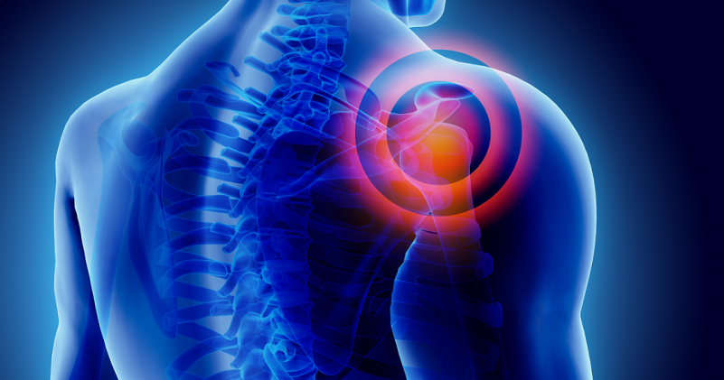 Evaluation of shoulder load in innovative order pick workstations